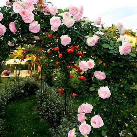 Фермерский дом Argaland Парма