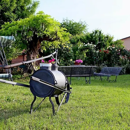 Farm stay Argaland