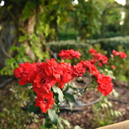 Argaland Фермерский дом Парма