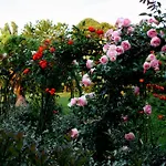 Argaland Farm stay Parma