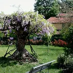 Argaland