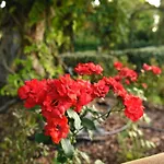 Argaland Farm stay Parma