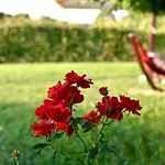 Argaland Farm stay *