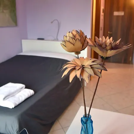 Gospodarstwo agroturystyczne Argaland *