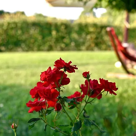 Argaland Farm stay *