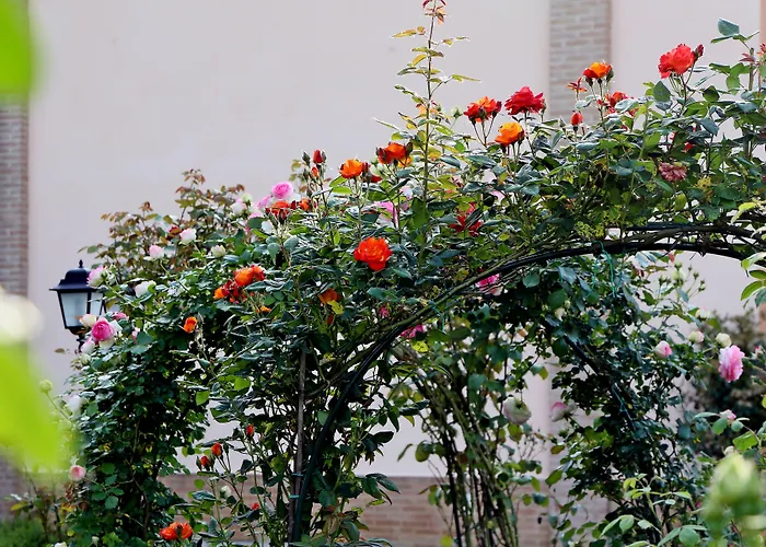 Farm stay Argaland Parma