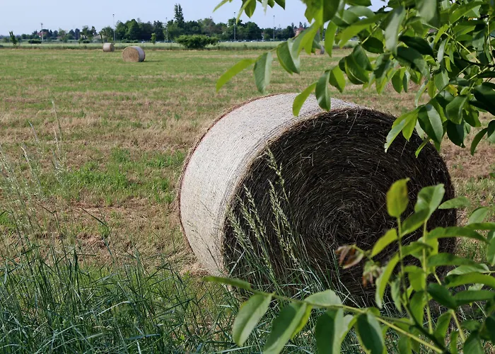 Argaland Vakantieboerderij