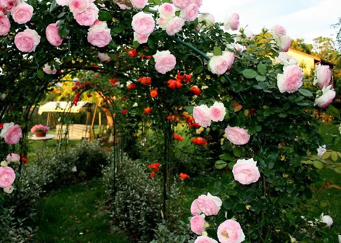 Farm stay Argaland Parma