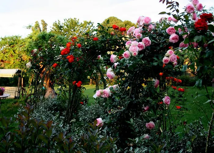 Argaland Farm stay Parma