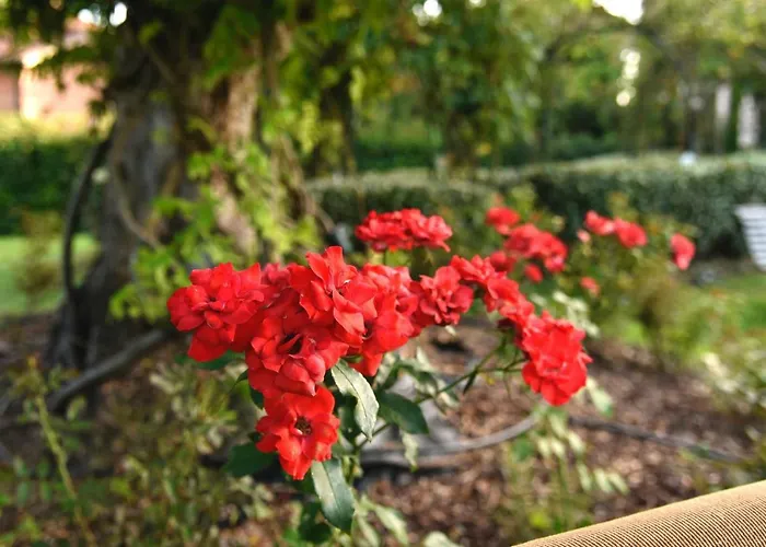 Argaland Farm stay Parma