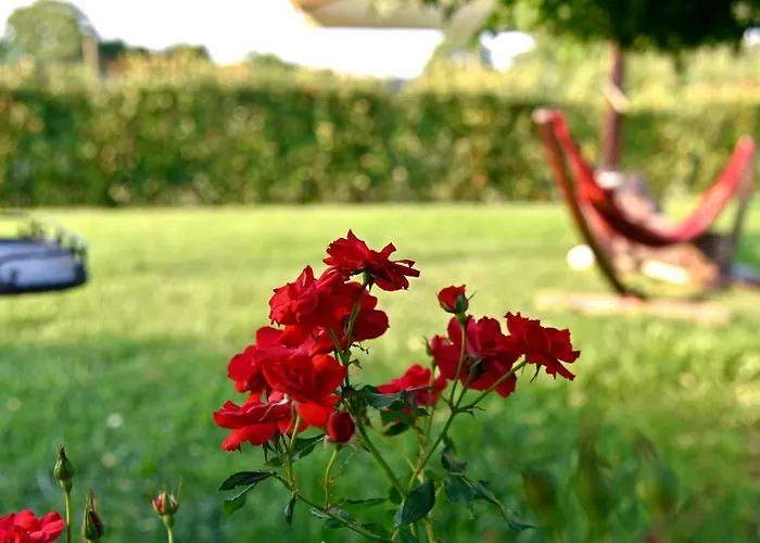 Argaland Farm stay *